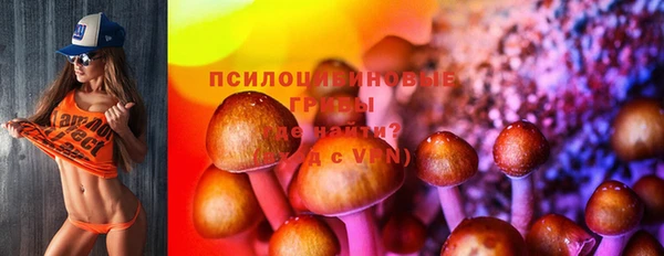 тгк Верхний Тагил