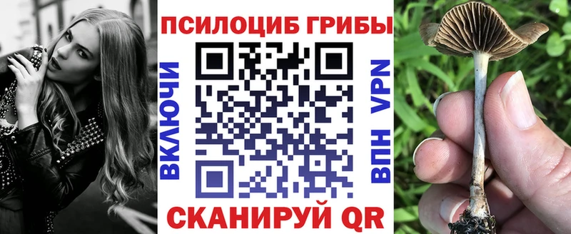 Галлюциногенные грибы MAGIC MUSHROOMS  Выборг 
