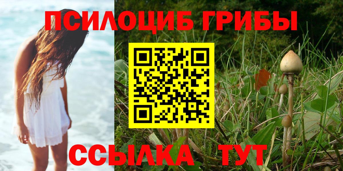 Псилоцибиновые грибы GOLDEN TEACHER  Вход с VPN  Выборг  Галлюциногенные грибы Magic Shrooms 